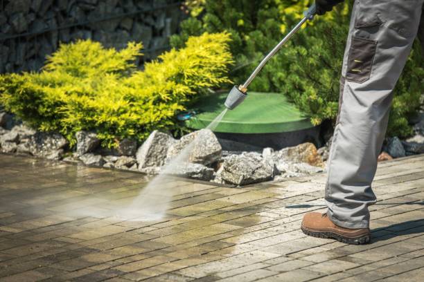 Best Fence Cleaning  in Danville, CA