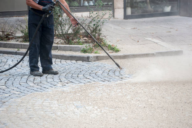Best Dumpster Area Cleaning  in Danville, CA